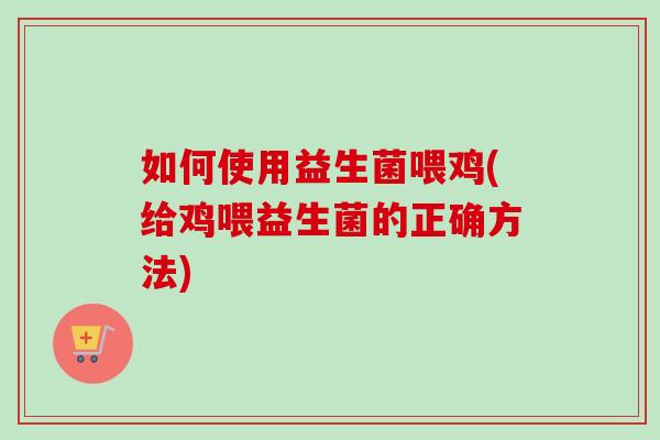 如何使用益生菌喂鸡(给鸡喂益生菌的正确方法)