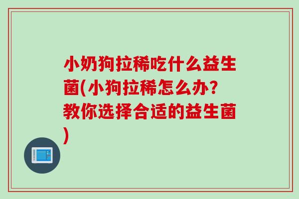小奶狗拉稀吃什么益生菌(小狗拉稀怎么办？教你选择合适的益生菌)
