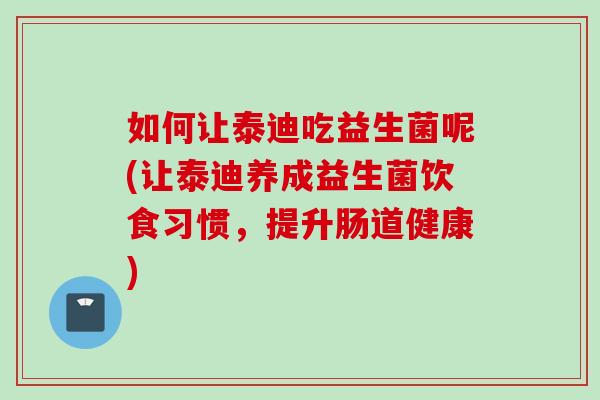 如何让泰迪吃益生菌呢(让泰迪养成益生菌饮食习惯，提升肠道健康)