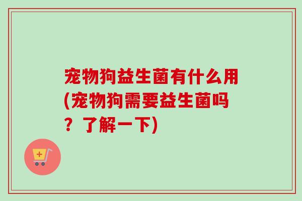 宠物狗益生菌有什么用(宠物狗需要益生菌吗?了解一下) 宠物狗益生菌有什么用(宠物狗需要益生菌吗?了解一下)