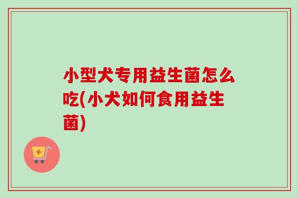 小型犬专用益生菌怎么吃(小犬如何食用益生菌) 小型犬专用益生菌怎么吃(小犬如何食用益生菌)