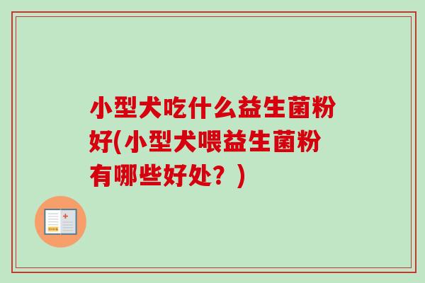 小型犬吃什么益生菌粉好(小型犬喂益生菌粉有哪些好处？)