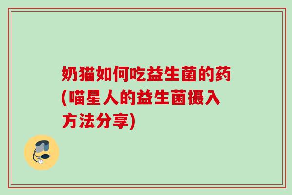 奶猫如何吃益生菌的药(喵星人的益生菌摄入方法分享) 奶猫如何吃益生菌的药(喵星人的益生菌摄入方法分享)