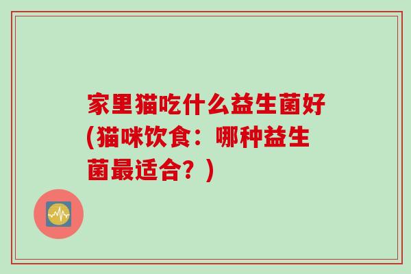 家里猫吃什么益生菌好(猫咪饮食：哪种益生菌适合？)