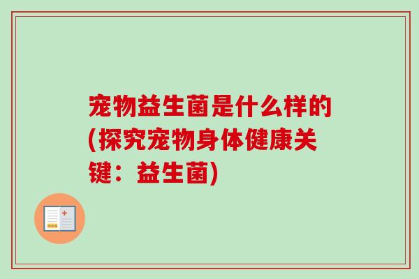 宠物益生菌是什么样的(探究宠物身体健康关键：益生菌)