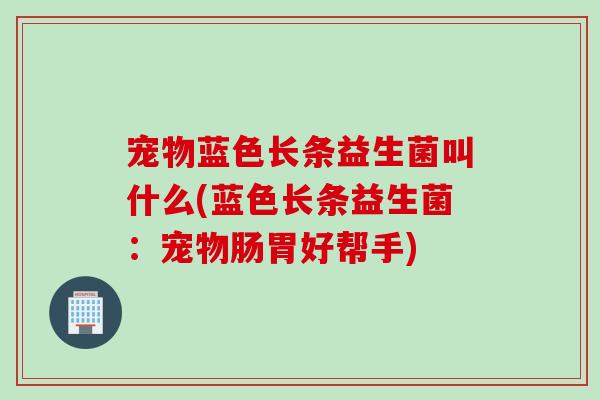 宠物蓝色长条益生菌叫什么(蓝色长条益生菌：宠物肠胃好帮手)