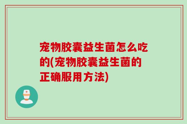 宠物胶囊益生菌怎么吃的(宠物胶囊益生菌的正确服用方法)