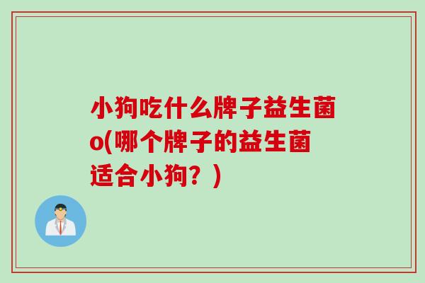 小狗吃什么牌子益生菌o(哪个牌子的益生菌适合小狗？)