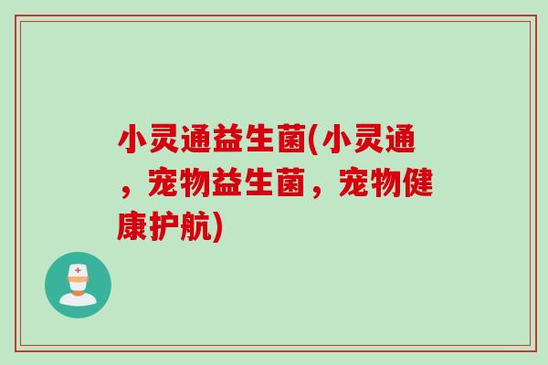 小灵通益生菌(小灵通，宠物益生菌，宠物健康护航)