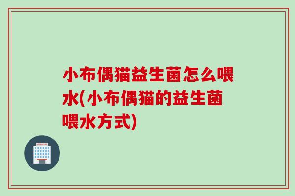 小布偶猫益生菌怎么喂水(小布偶猫的益生菌喂水方式)