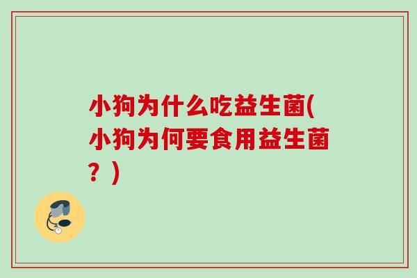 小狗为什么吃益生菌(小狗为何要食用益生菌?) 小狗为什么吃益生菌(小狗为何要食用益生菌?)