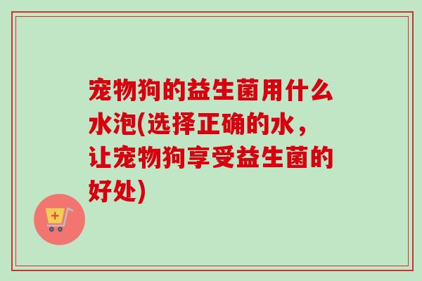 宠物狗的益生菌用什么水泡(选择正确的水，让宠物狗享受益生菌的好处)