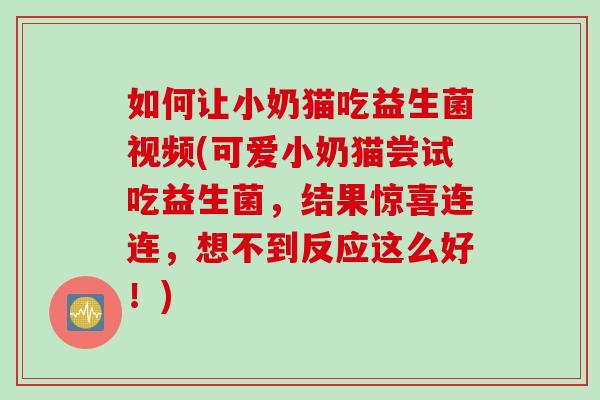 如何让小奶猫吃益生菌视频(可爱小奶猫尝试吃益生菌,结果惊喜连连,想不到反应这么好!) 如何让小奶猫吃益生菌视频(可爱小奶猫尝试吃益生菌,结果惊喜连连,想不到反应这么好!)