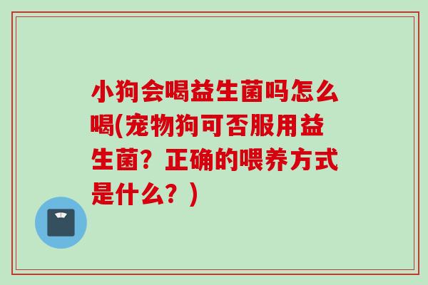 小狗会喝益生菌吗怎么喝(宠物狗可否服用益生菌？正确的喂养方式是什么？)