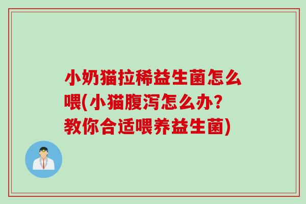 小奶猫拉稀益生菌怎么喂(小猫腹泻怎么办？教你合适喂养益生菌)