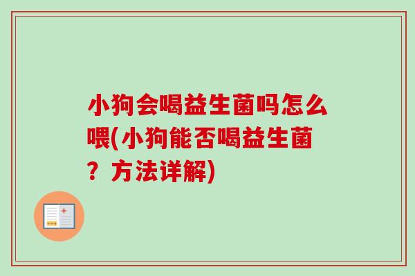 小狗会喝益生菌吗怎么喂(小狗能否喝益生菌？方法详解)