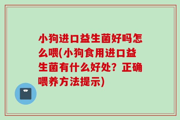 小狗进口益生菌好吗怎么喂(小狗食用进口益生菌有什么好处?正确喂养方法提示) 小狗进口益生菌好吗怎么喂(小狗食用进口益生菌有什么好处?正确喂养方法提示)