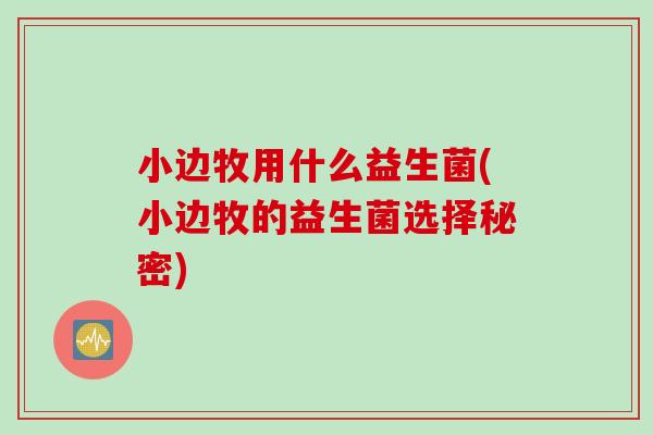小边牧用什么益生菌(小边牧的益生菌选择秘密) 小边牧用什么益生菌(小边牧的益生菌选择秘密)