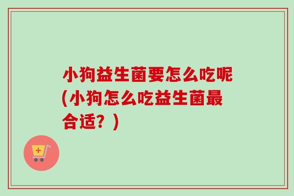 小狗益生菌要怎么吃呢(小狗怎么吃益生菌合适？)