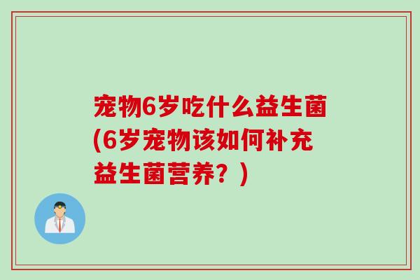 宠物6岁吃什么益生菌(6岁宠物该如何补充益生菌营养？)