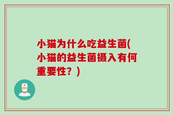 小猫为什么吃益生菌(小猫的益生菌摄入有何重要性？)