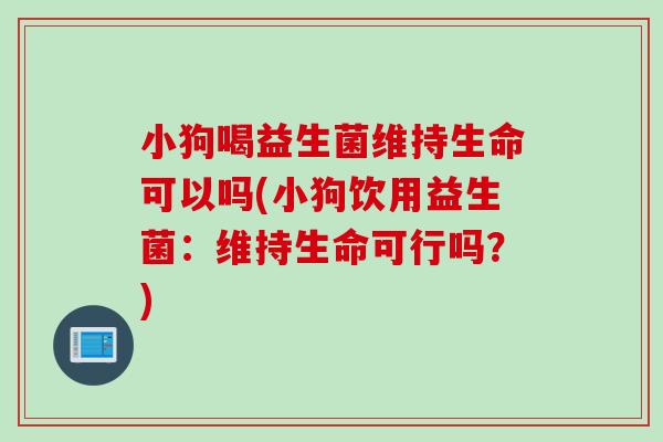 小狗喝益生菌维持生命可以吗(小狗饮用益生菌：维持生命可行吗？)