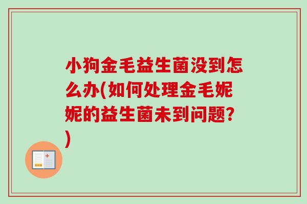 小狗金毛益生菌没到怎么办(如何处理金毛妮妮的益生菌未到问题?) 小狗金毛益生菌没到怎么办(如何处理金毛妮妮的益生菌未到问题?)
