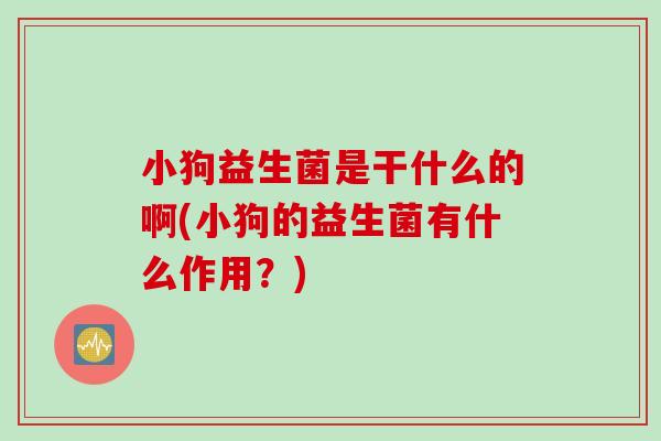 小狗益生菌是干什么的啊(小狗的益生菌有什么作用？)