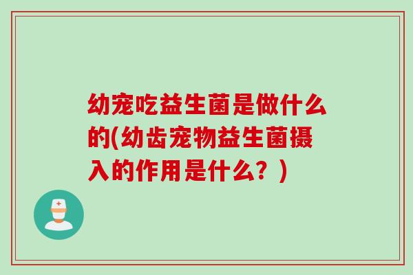 幼宠吃益生菌是做什么的(幼齿宠物益生菌摄入的作用是什么?) 幼宠吃益生菌是做什么的(幼齿宠物益生菌摄入的作用是什么?)