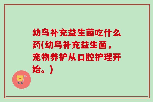 幼鸟补充益生菌吃什么药(幼鸟补充益生菌，宠物养护从口腔护理开始。)