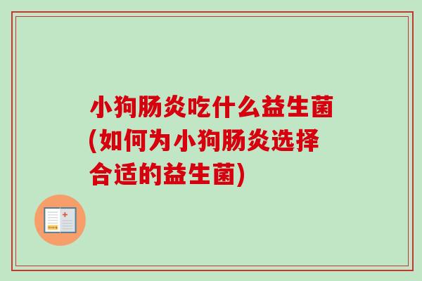 小狗吃什么益生菌(如何为小狗选择合适的益生菌) 小狗吃什么益生菌(如何为小狗选择合适的益生菌)