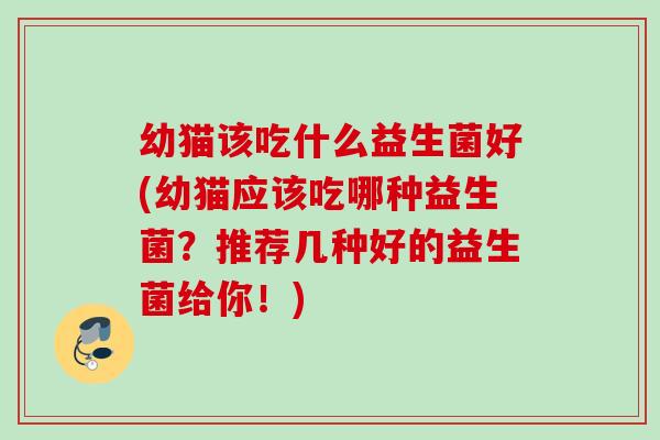 幼猫该吃什么益生菌好(幼猫应该吃哪种益生菌？推荐几种好的益生菌给你！)