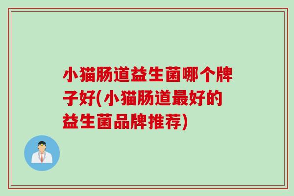 小猫肠道益生菌哪个牌子好(小猫肠道好的益生菌品牌推荐)