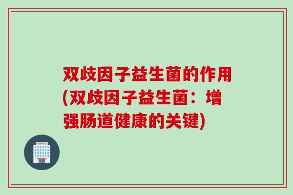 双歧因子益生菌的作用(双歧因子益生菌：增强肠道健康的关键)