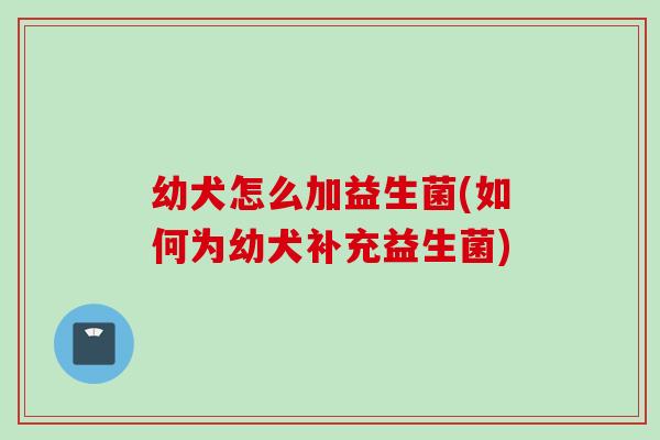 幼犬怎么加益生菌(如何为幼犬补充益生菌)