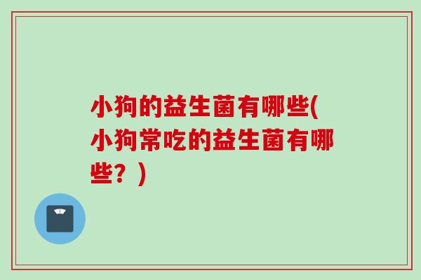 小狗的益生菌有哪些(小狗常吃的益生菌有哪些？)
