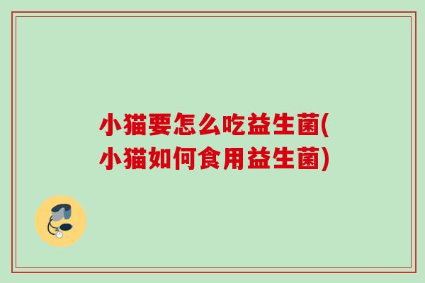 小猫要怎么吃益生菌(小猫如何食用益生菌) 小猫要怎么吃益生菌(小猫如何食用益生菌)