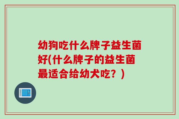 幼狗吃什么牌子益生菌好(什么牌子的益生菌适合给幼犬吃？)