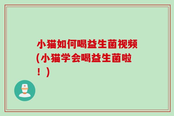 小猫如何喝益生菌视频(小猫学会喝益生菌啦！)