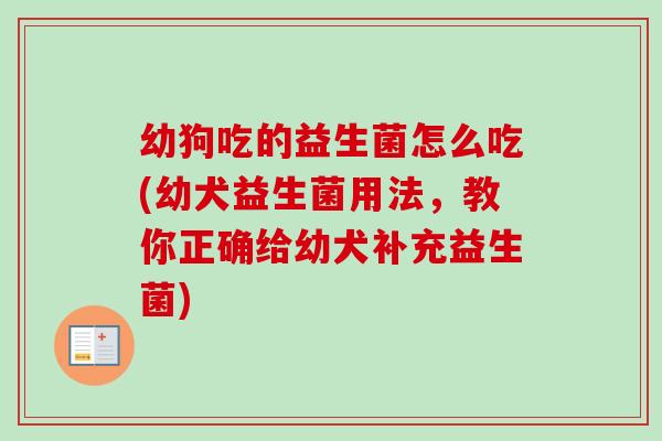 幼狗吃的益生菌怎么吃(幼犬益生菌用法，教你正确给幼犬补充益生菌)
