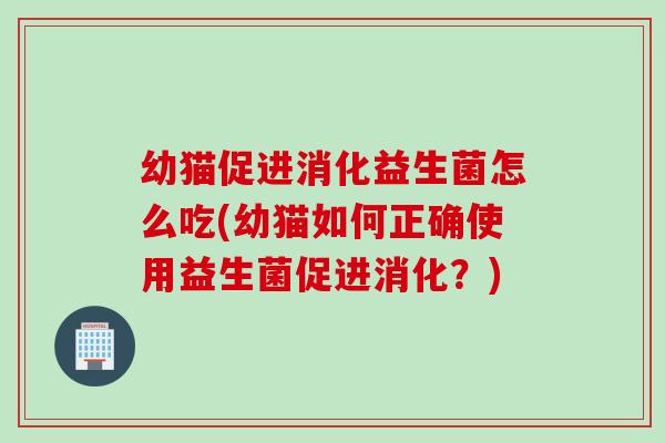幼猫促进消化益生菌怎么吃(幼猫如何正确使用益生菌促进消化？)