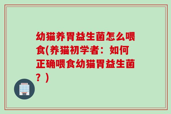 幼猫养胃益生菌怎么喂食(养猫初学者：如何正确喂食幼猫胃益生菌？)