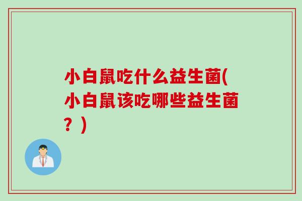 小白鼠吃什么益生菌(小白鼠该吃哪些益生菌?) 小白鼠吃什么益生菌(小白鼠该吃哪些益生菌?)