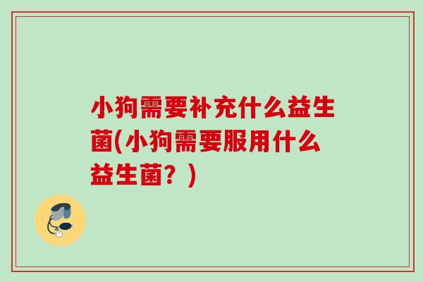 小狗需要补充什么益生菌(小狗需要服用什么益生菌？)