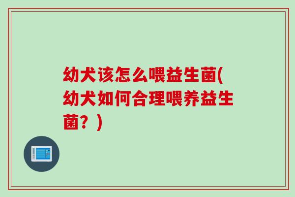 幼犬该怎么喂益生菌(幼犬如何合理喂养益生菌?) 幼犬该怎么喂益生菌(幼犬如何合理喂养益生菌?)
