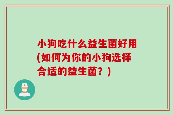 小狗吃什么益生菌好用(如何为你的小狗选择合适的益生菌？)
