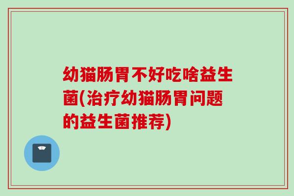 幼猫肠胃不好吃啥益生菌(治疗幼猫肠胃问题的益生菌推荐)