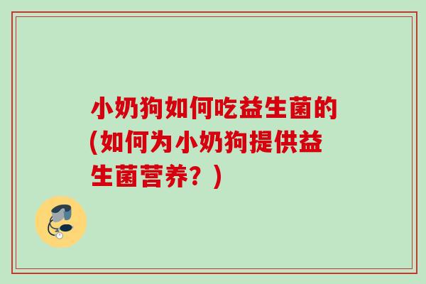 小奶狗如何吃益生菌的(如何为小奶狗提供益生菌营养?) 小奶狗如何吃益生菌的(如何为小奶狗提供益生菌营养?)