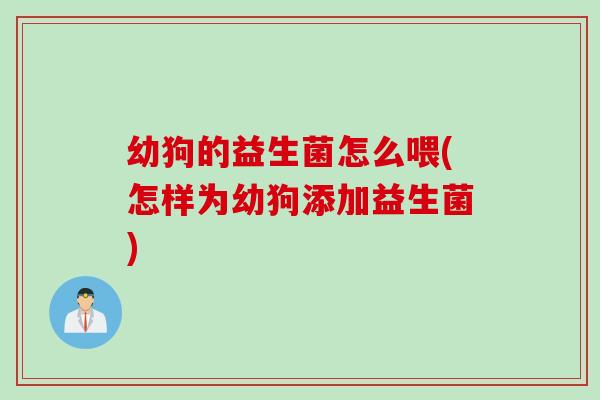 幼狗的益生菌怎么喂(怎样为幼狗添加益生菌) 幼狗的益生菌怎么喂(怎样为幼狗添加益生菌)