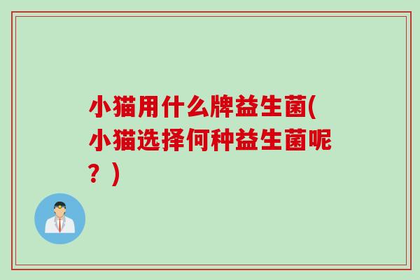小猫用什么牌益生菌(小猫选择何种益生菌呢？)